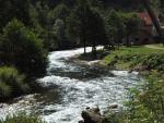 Jani (BIH)
