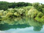 Jani (BIH)