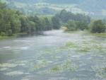 Pliva (BIH)