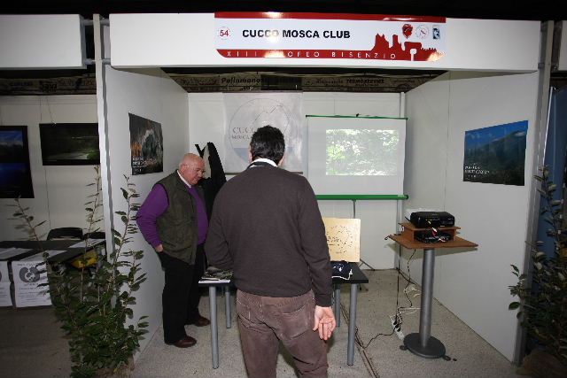 Cucco Mosca Club