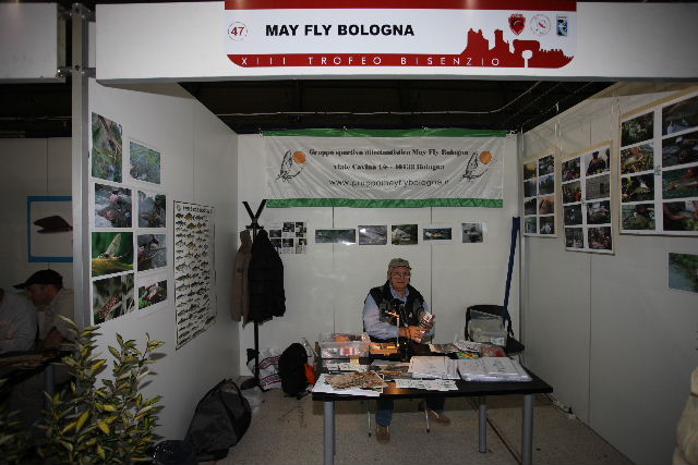 May Fly Bologna