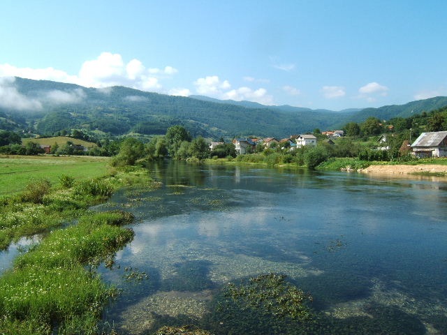 pliva (BIH)