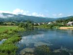 pliva (BIH)