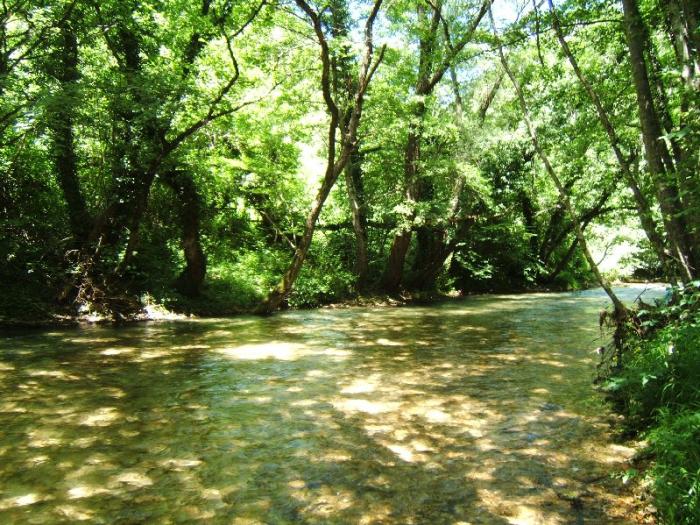 Nera in prossimita de "l'eremita" - Zona B valle