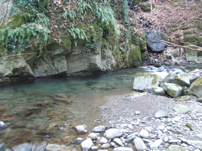 No-kill Trogola - Settore Monte - Torrente Ceppeta