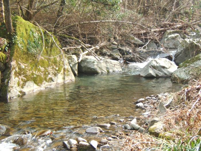 No Kill "Trogola" - Settore Monte a valle del ponte di Taglianico