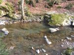 No Kill "Trogola" - Settore Monte a valle del ponte di Taglianico