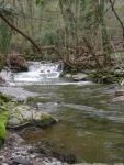 No-kill Trogola - Settore Valle - Sopra il ponte romano