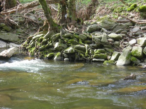 No-kill Trogola - Settore Valle - Sopra il ponte romano