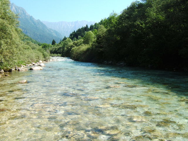 Torre