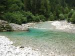 Viellia