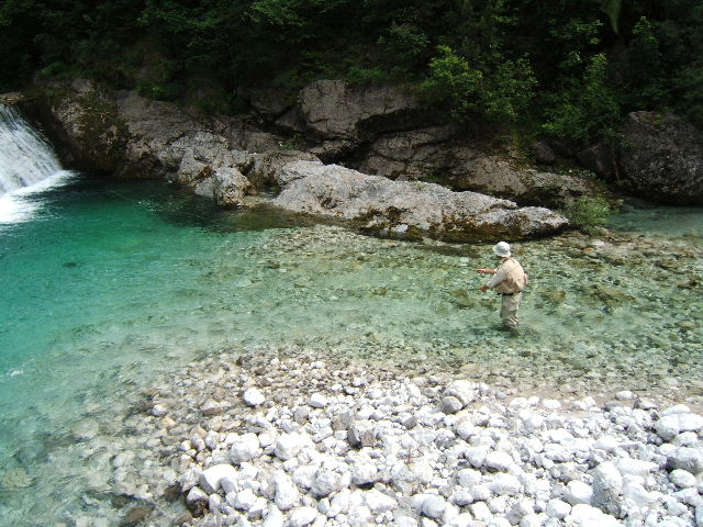 Meduna alto