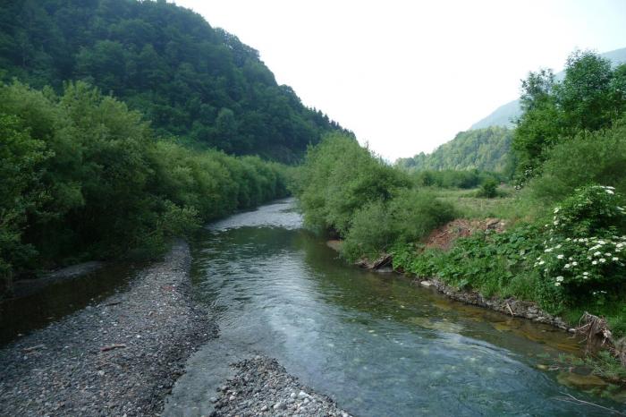 Sosta sul percorso.. un'occhiata al no kill del torrente But