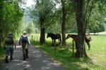 Moll - L'ambiente intorno al fiume