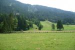 Moll - L'ambiente intorno al fiume