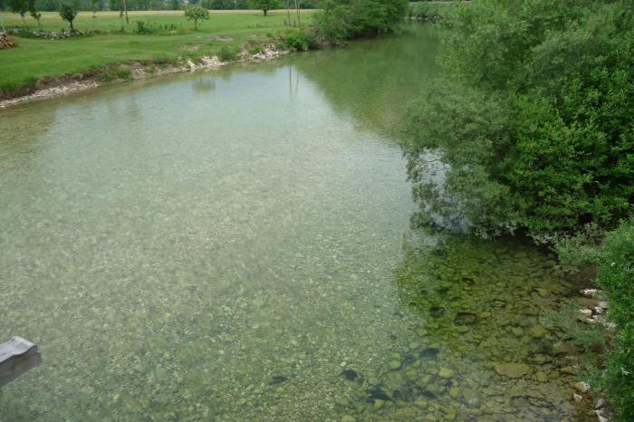 Sava Bohinjka dal ponte di Log