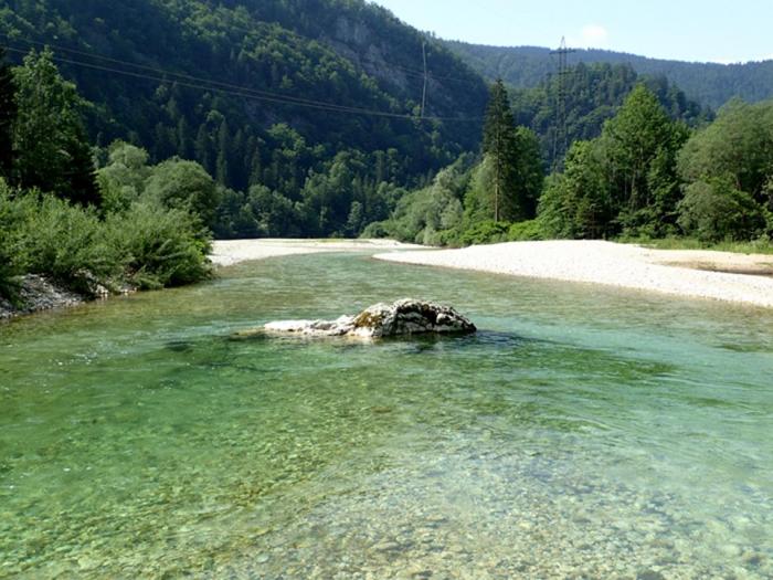 Sava Bohinjka zona istituto