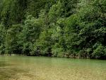 Sava Bohinjka zona istituto