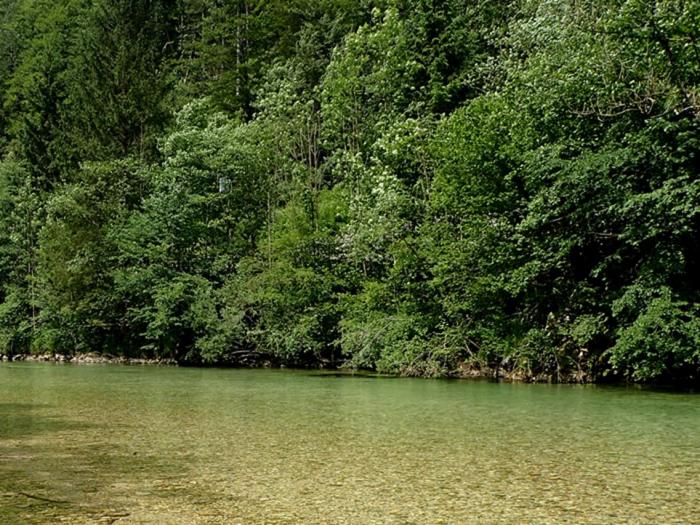 Sava Bohinjka zona istituto