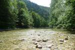 Sava Bohinjka zona istituto