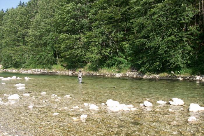 Sava Bohinjka zona istituto