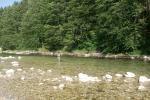 Sava Bohinjka zona istituto