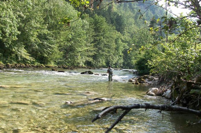 Sava Bohinjka zona istituto