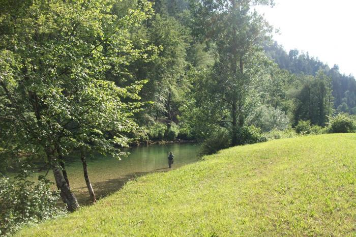 Sava Bohinjka zona istituto