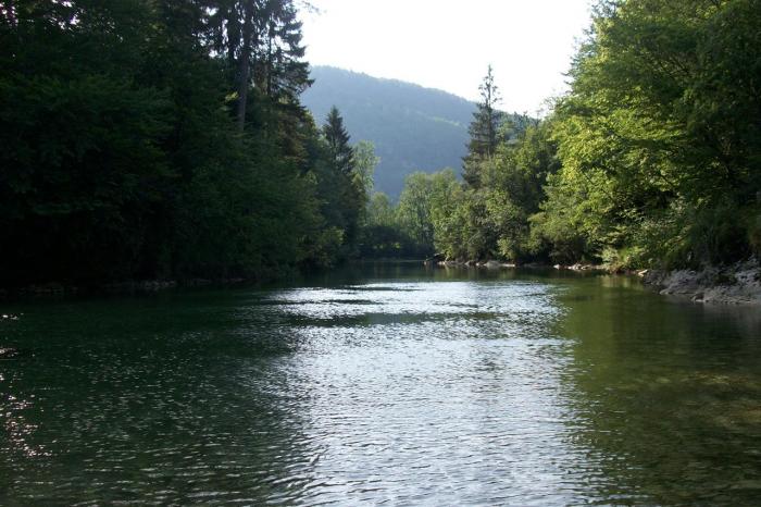 Sava Bohinjka zona istituto