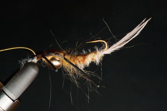 gasparini 1