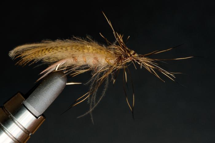 gasparini 2