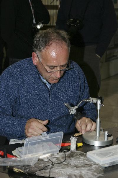 Renato Cellere