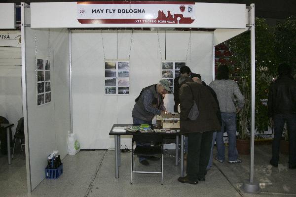 May Fly Bologna