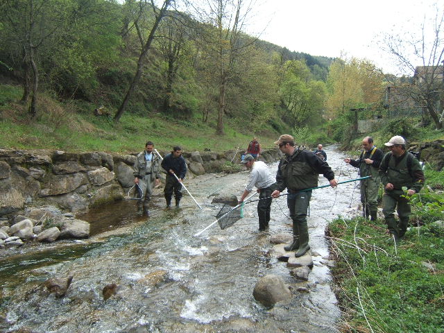 Storditura del Fiumenta