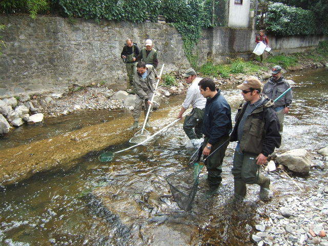 Storditura del Fiumenta